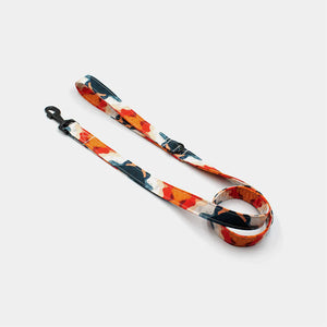Earth leash