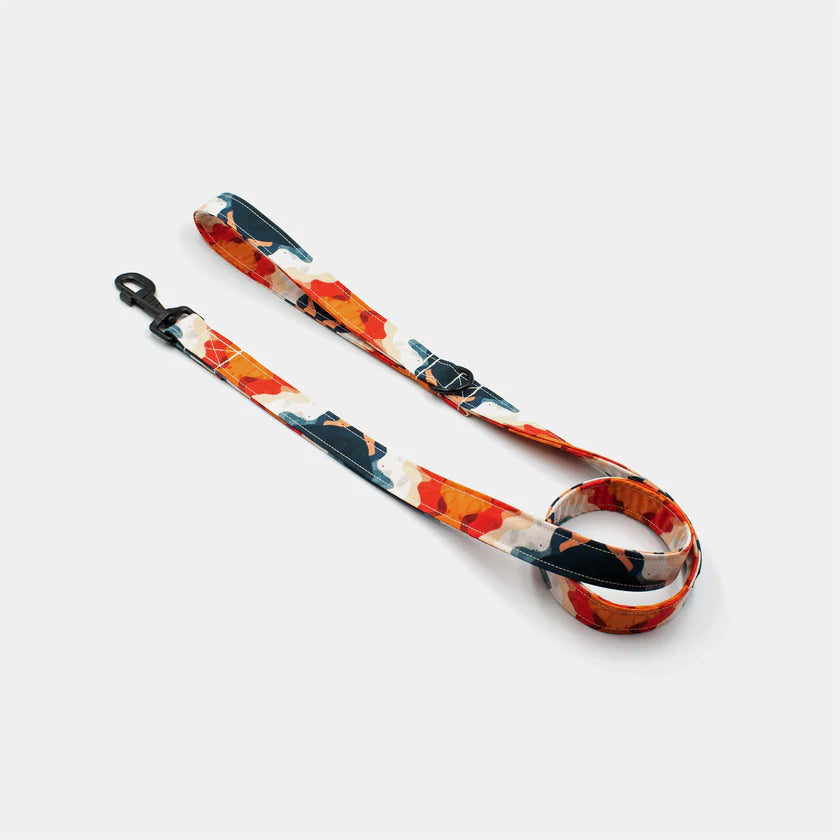 Earth leash