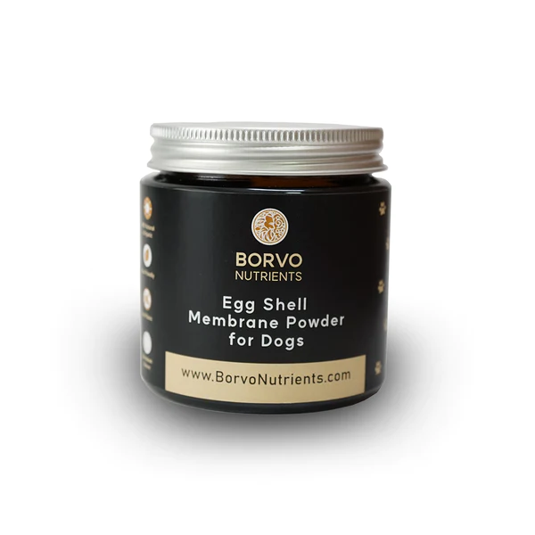 Eggshell membrane extract 1000mg