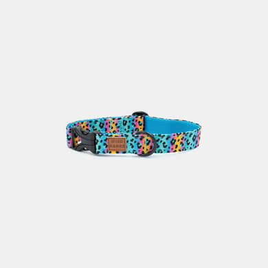 Fusion Leopard collar