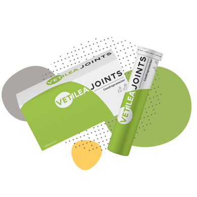 complete hip & joints 28 tablets