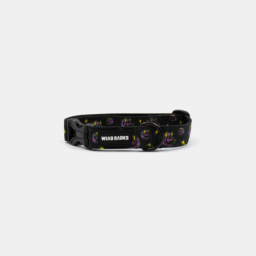 Skulls collar