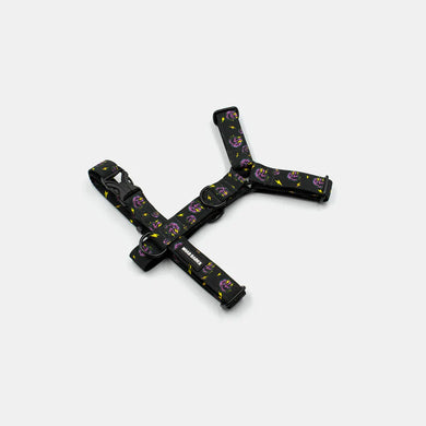 Skulls Harness