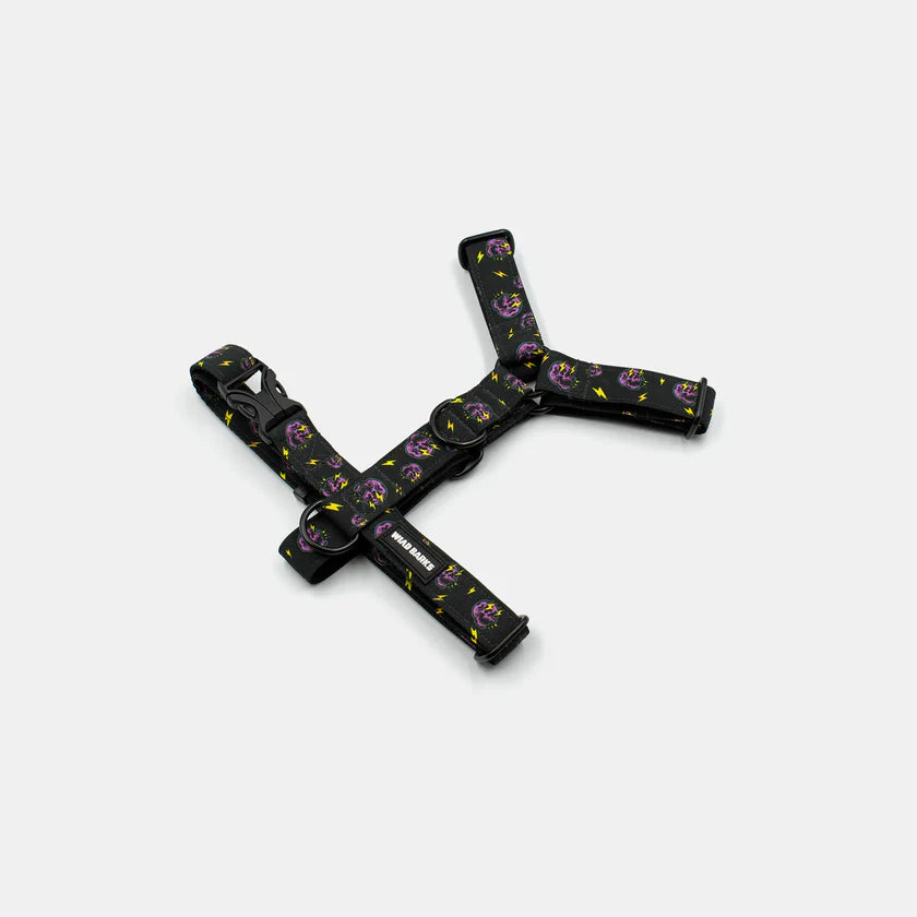 Skulls Harness
