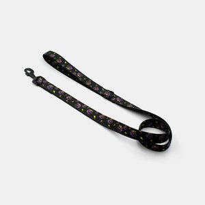 Skulls leash