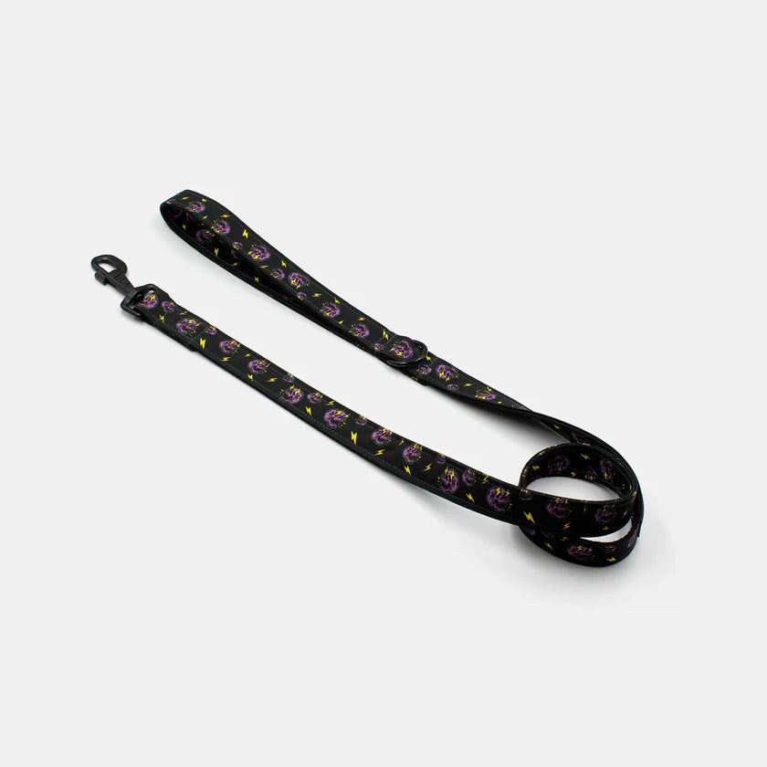 Skulls leash