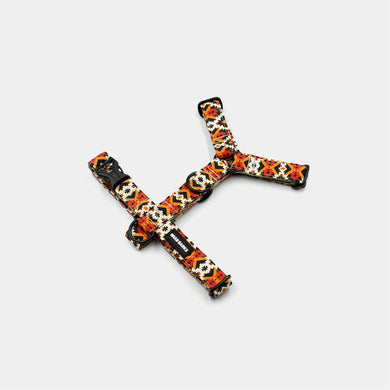Southwest Harness