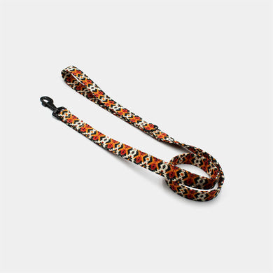 Southwest leash