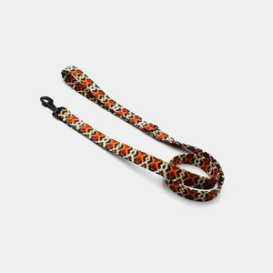 Southwest leash