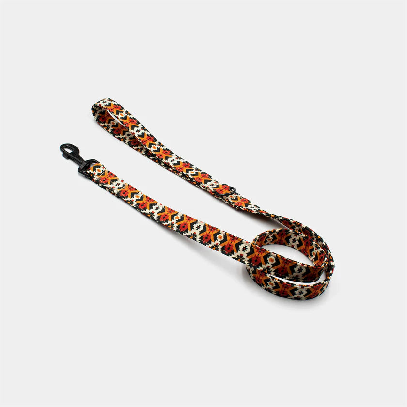 Southwest leash