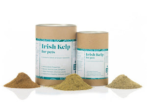 Organic Irish Kelp