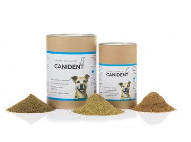 Canident